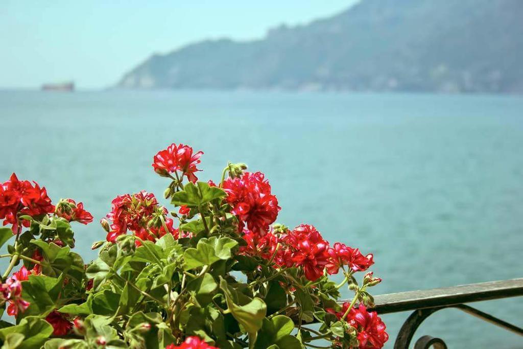 B&B Fronte Del Mare Salerno Luaran gambar